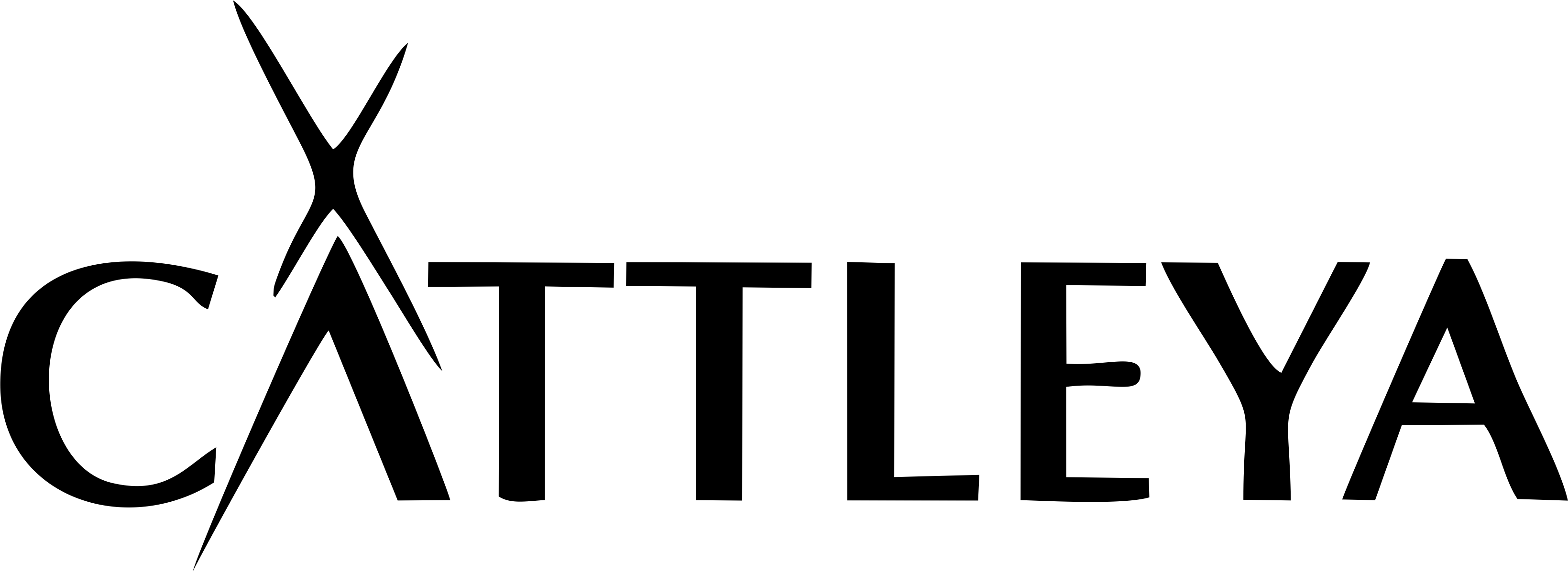 Cattleya 1 أسهل برنامج محاسبي - قيود