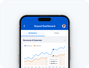 Display 10 برنامج محاسبة سحابي للشركات - قيود