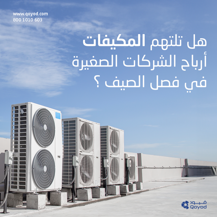 أرياح الشركات الصغيرة