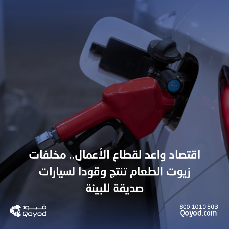 اقتصاد واعد لقطاع الأعمال