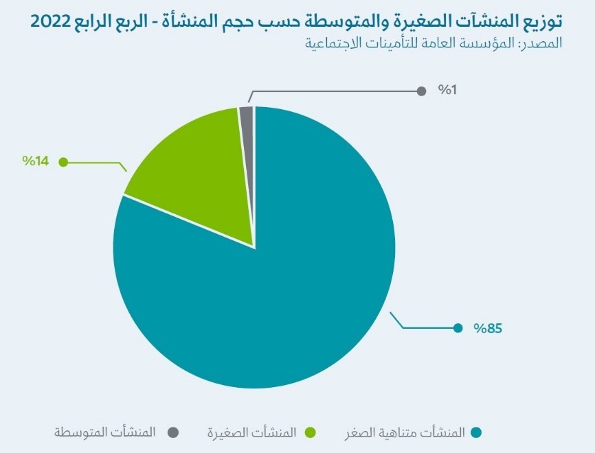 توزيع المنشآت الصغيرة والمتوسطة المنشآت الصغيرة والمتوسطة في السعودية تكسر حاجز المليون - قيود توزيع المنشآت الصغيرة والمتوسطة