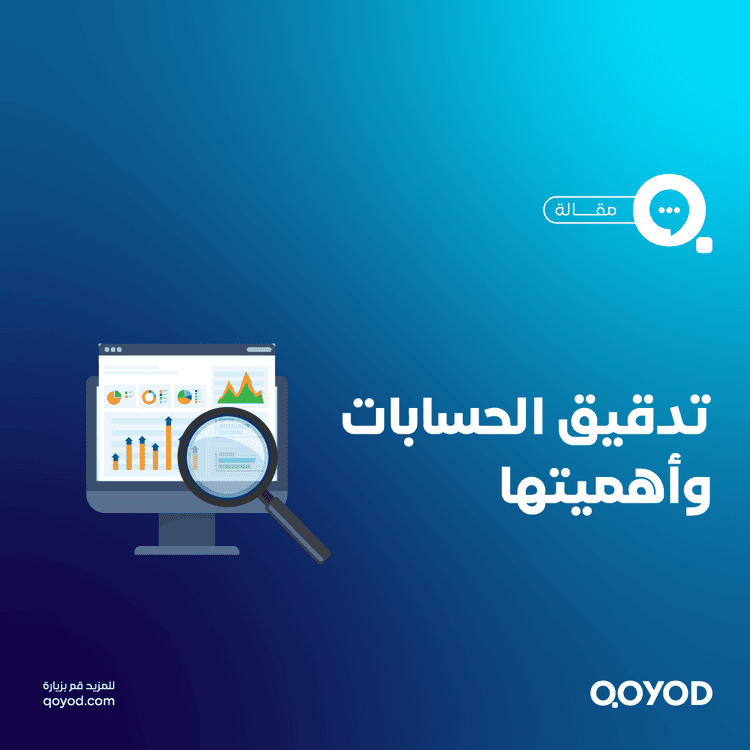 دليل تدقيق الحسابات